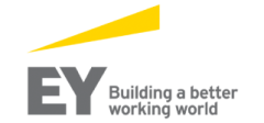 logo_ernstyoung_13