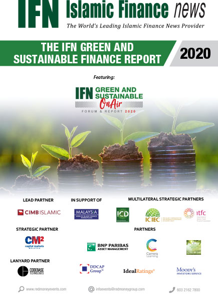 The IFN Green and Sustainable Finance report 2020