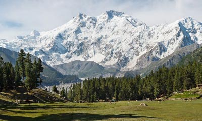 ifnpakistan2026_news2