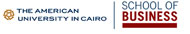 business.aucegypt